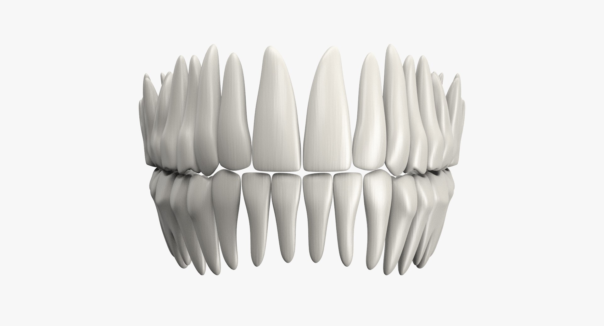 3d model jaw https://p.turbosquid.com/ts-thumb/1E/AhHcLn/idN359xi/4_1/jpg/1471586645/1920x1080/fit_q87/e7c9c002a911b68ff5481f36f94b7ed2075e6793/4_1.jpg