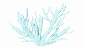 3D Finger Coral Reef model