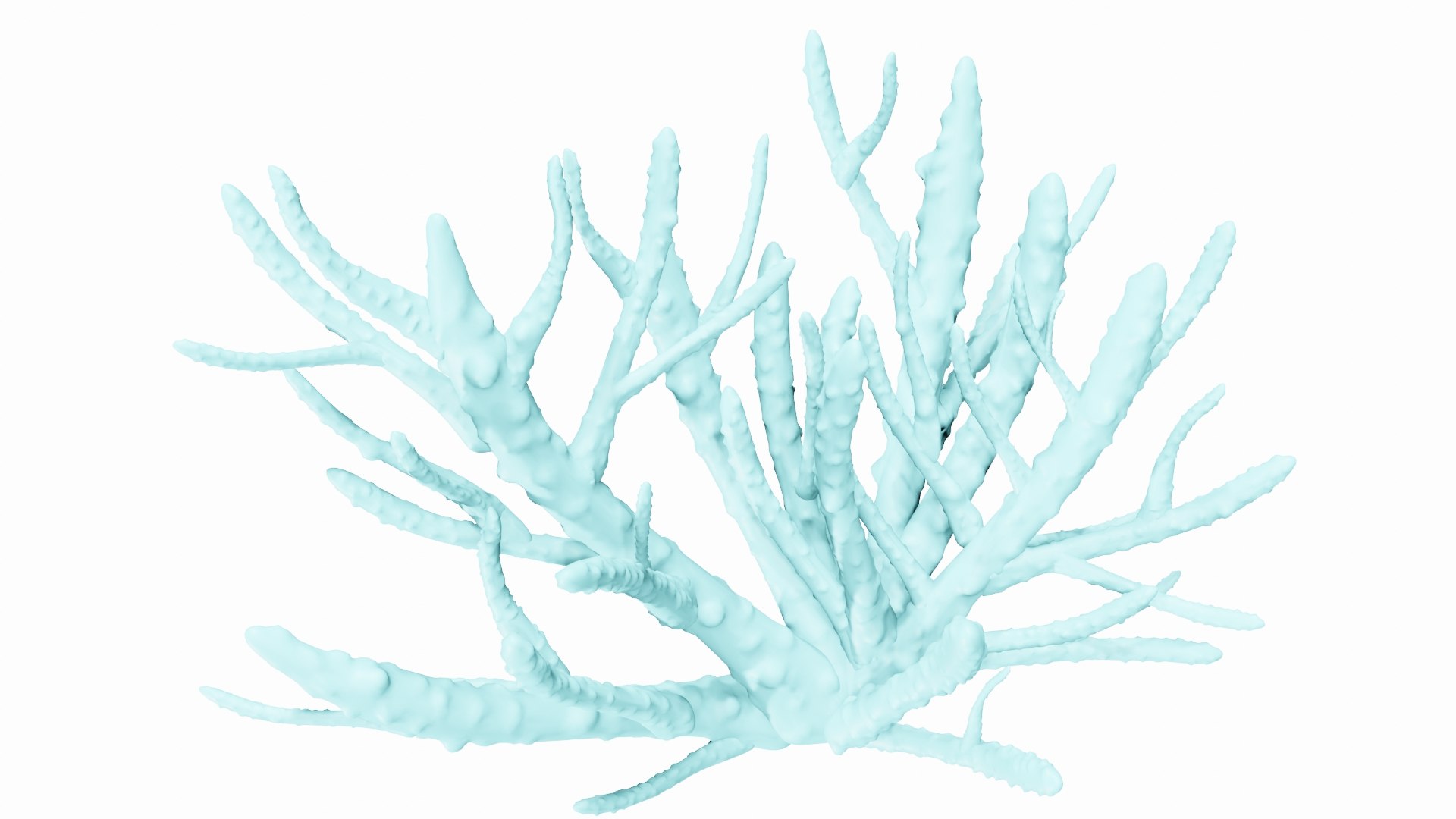 3D Finger Coral Reef model - TurboSquid 1825393
