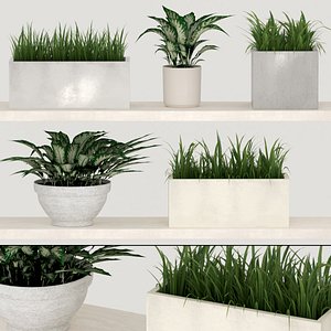 3D model indoor plants pots