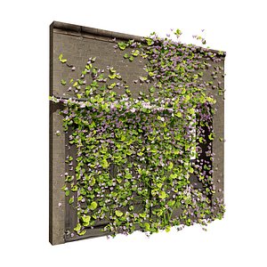 Flowering Ivy on Brick Wall 3D Asset