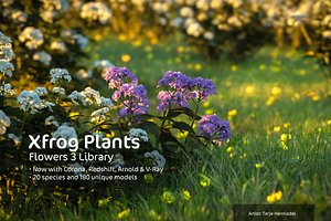 2020 XfrogPlants Flowers 3