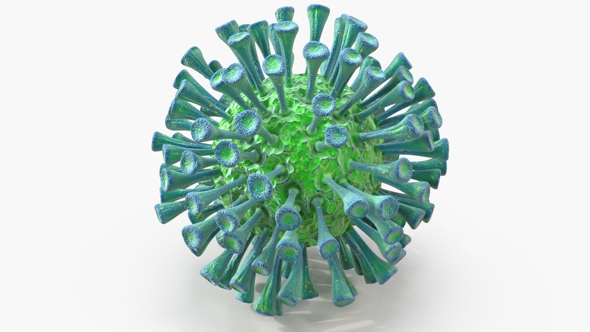 coronavirus virus corona 3D model https://p.turbosquid.com/ts-thumb/1E/UbnSO9/06l5V5MY/viruses_07/png/1594861586/1920x1080/fit_q87/a9ff13b9fd60b5ac00de5fe0477b7fde04024e0b/viruses_07.jpg