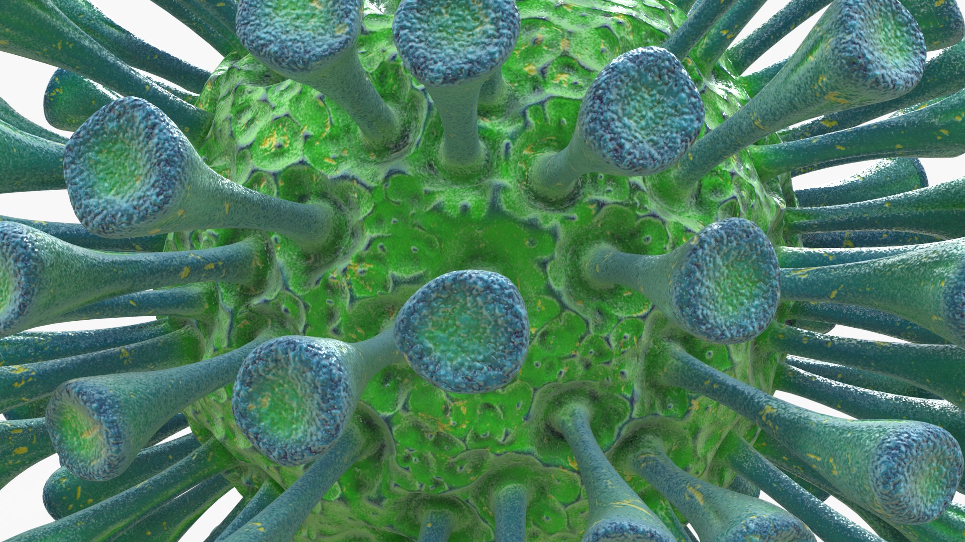 coronavirus virus corona 3D model https://p.turbosquid.com/ts-thumb/1E/UbnSO9/1ckSmikr/04_viruses/png/1594847616/1920x1080/fit_q87/cf06c9416e1ed2c5452c33f06b8fe6ea2b884899/04_viruses.jpg