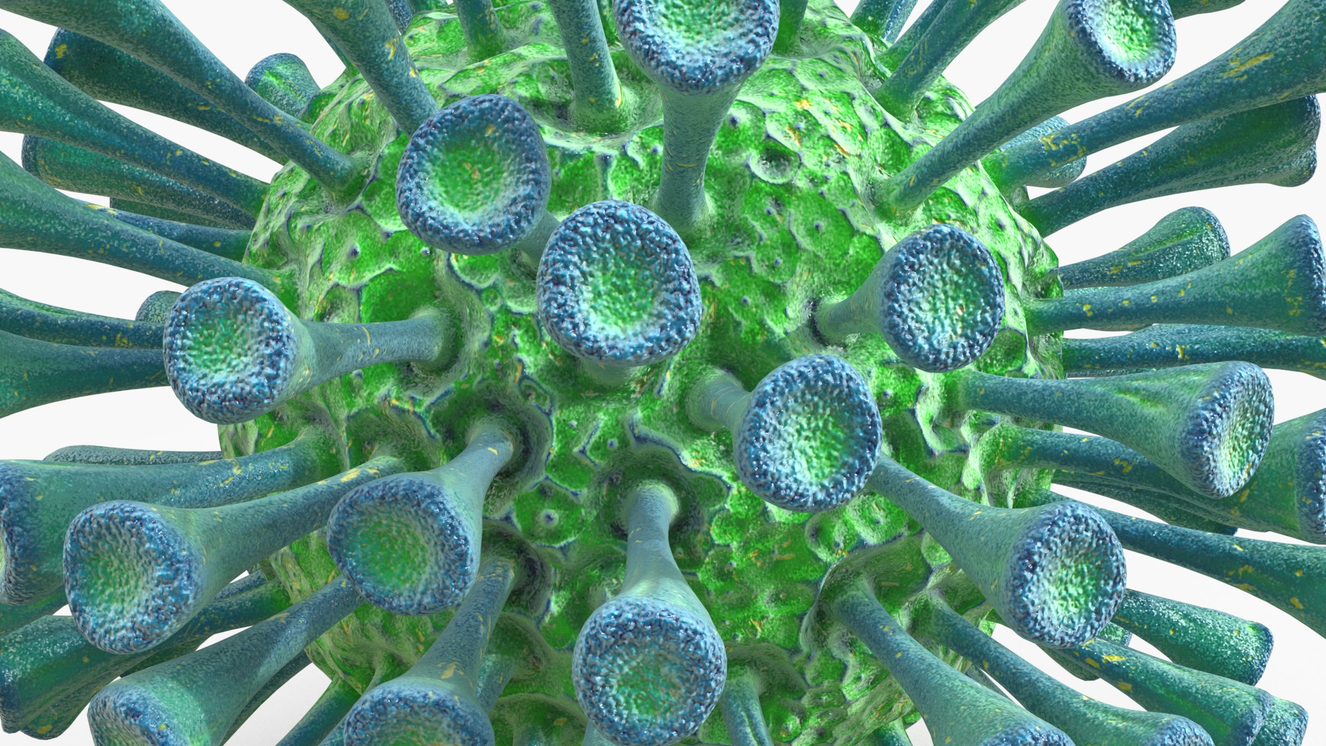 coronavirus virus corona 3D model https://p.turbosquid.com/ts-thumb/1E/UbnSO9/GNJi2T3k/05_viruses/png/1594847642/1920x1080/fit_q87/bf2322e43f2a102921e8457c278b69abadbb6d97/05_viruses.jpg