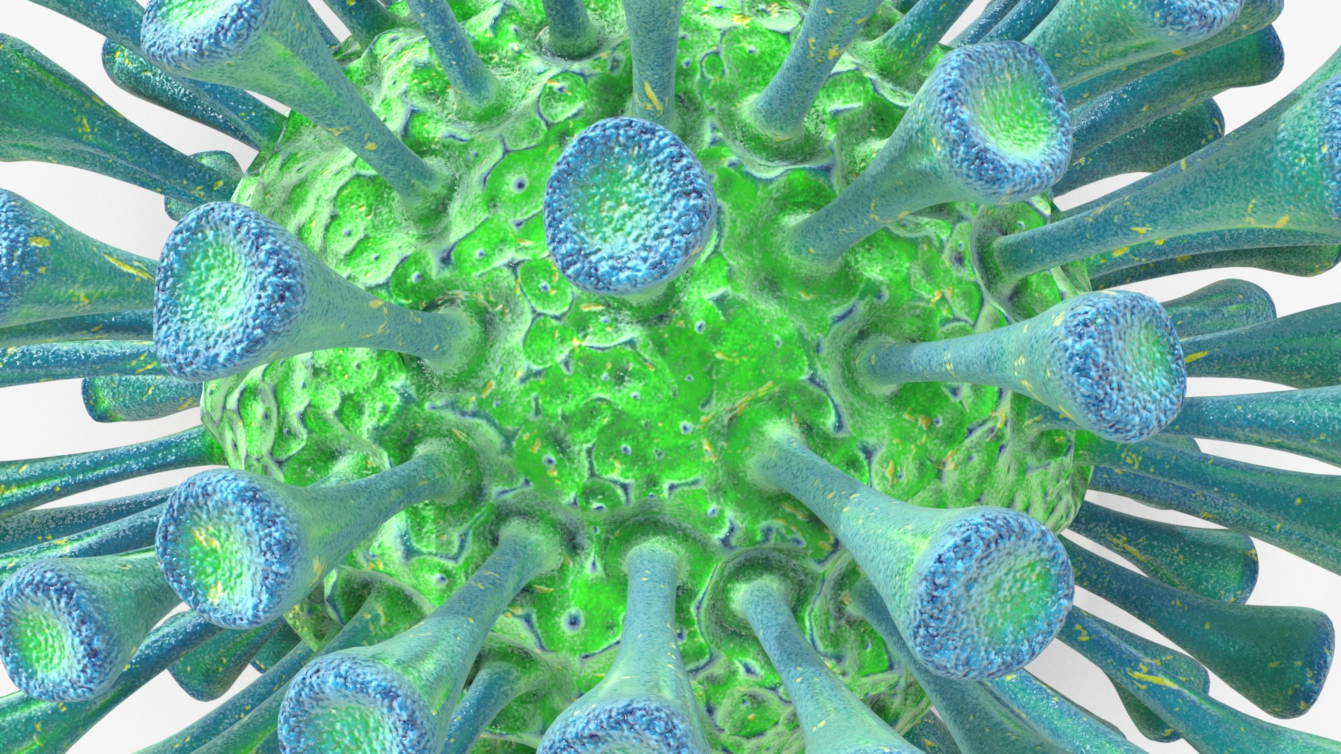 coronavirus virus corona 3D model https://p.turbosquid.com/ts-thumb/1E/UbnSO9/ZS9kFApM/03_viruses/png/1594847614/1920x1080/fit_q87/0d3dff3b210cdd3b94a82e17eb036a888dcff66d/03_viruses.jpg