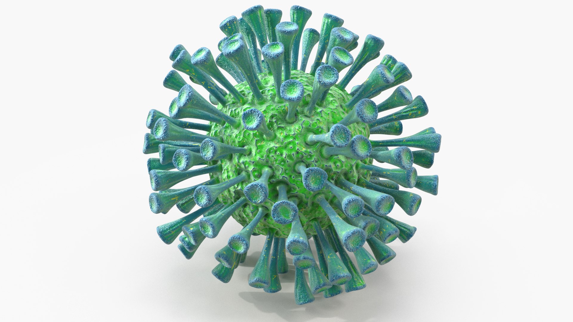 coronavirus virus corona 3D model https://p.turbosquid.com/ts-thumb/1E/UbnSO9/aV937tJd/viruses_13/png/1594861583/1920x1080/fit_q87/472a1b9dfa34a2d490ee9c220efe8906b2bd8de4/viruses_13.jpg