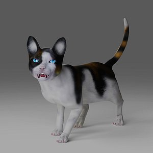 3D model Calico Cat rigged and animated