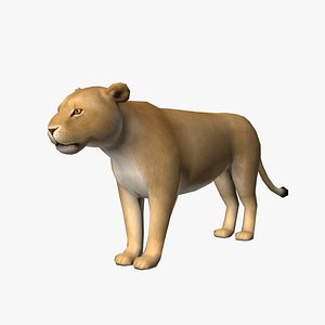 maya female lion