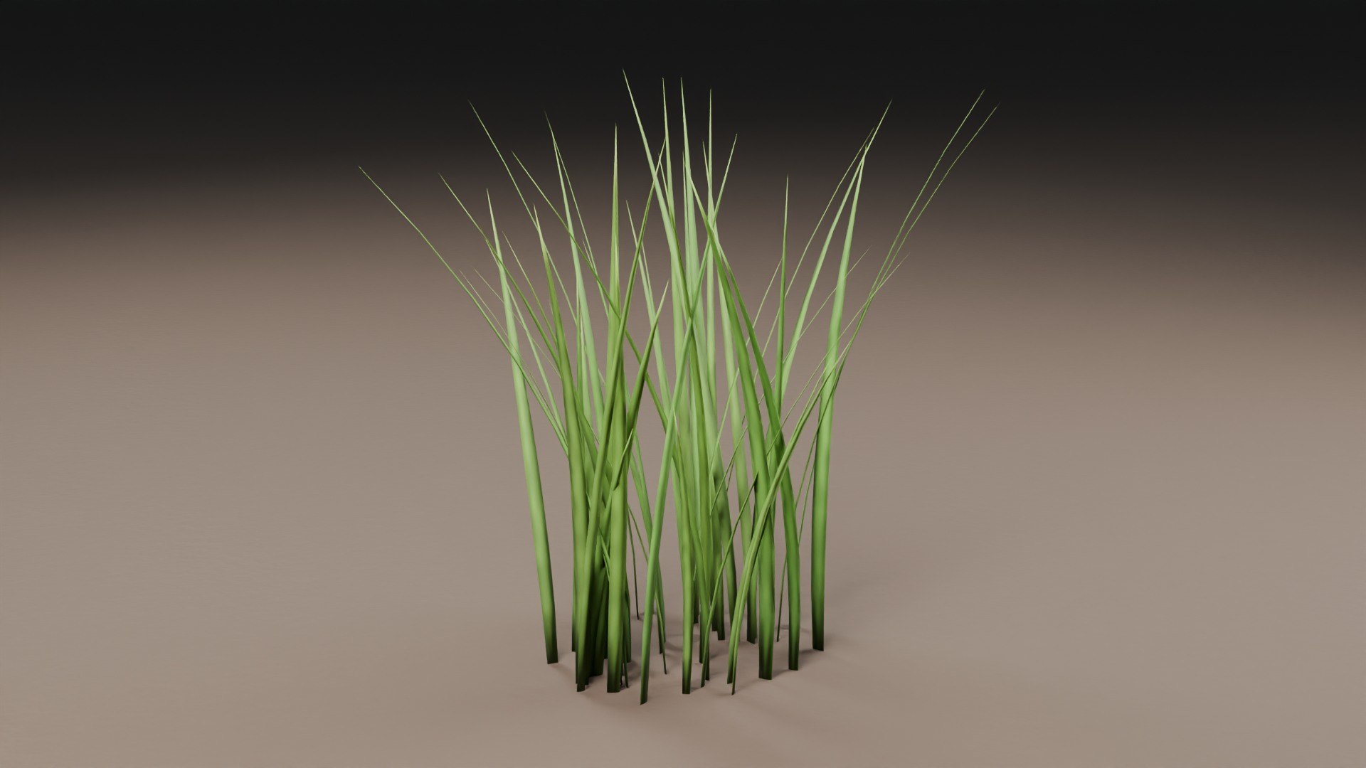 Nature Asset Collection 3D model https://p.turbosquid.com/ts-thumb/1F/29B4g3/Hn/04_back/jpg/1792762405/1920x1080/fit_q87/bc027fca9601a67d01597ba2318dfc8faf0f9a3d/04_back.jpg