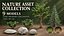 Nature Asset Collection