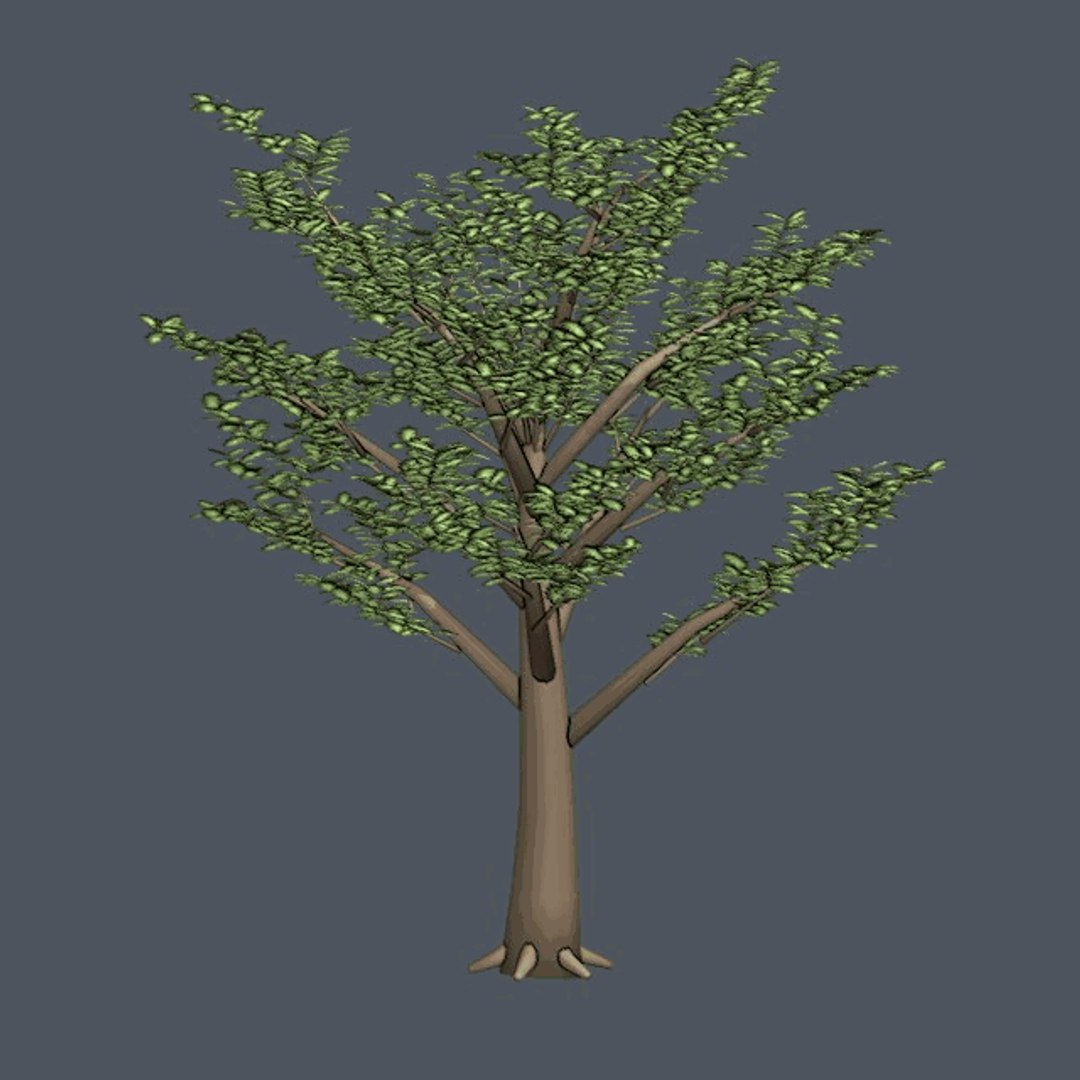 Nature Asset Collection 3D model https://p.turbosquid.com/ts-thumb/1F/29B4g3/kD/07_turntable/gif/1792762434/1920x1080/fit_q87/b433476d70ef1e3cda991da36a8563b01bf034f6/07_turntable.jpg