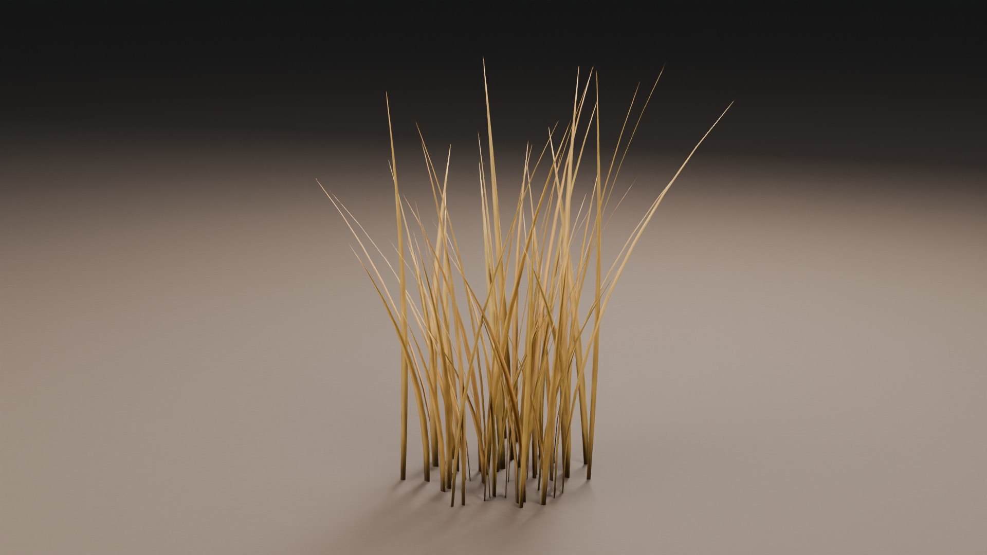 Nature Asset Collection 3D model https://p.turbosquid.com/ts-thumb/1F/29B4g3/wI/02_front/jpg/1792762342/1920x1080/fit_q87/e2e33150b35a39b116d2585c342b6d33f4c76f64/02_front.jpg