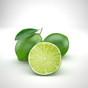 food fruit lime 3D model