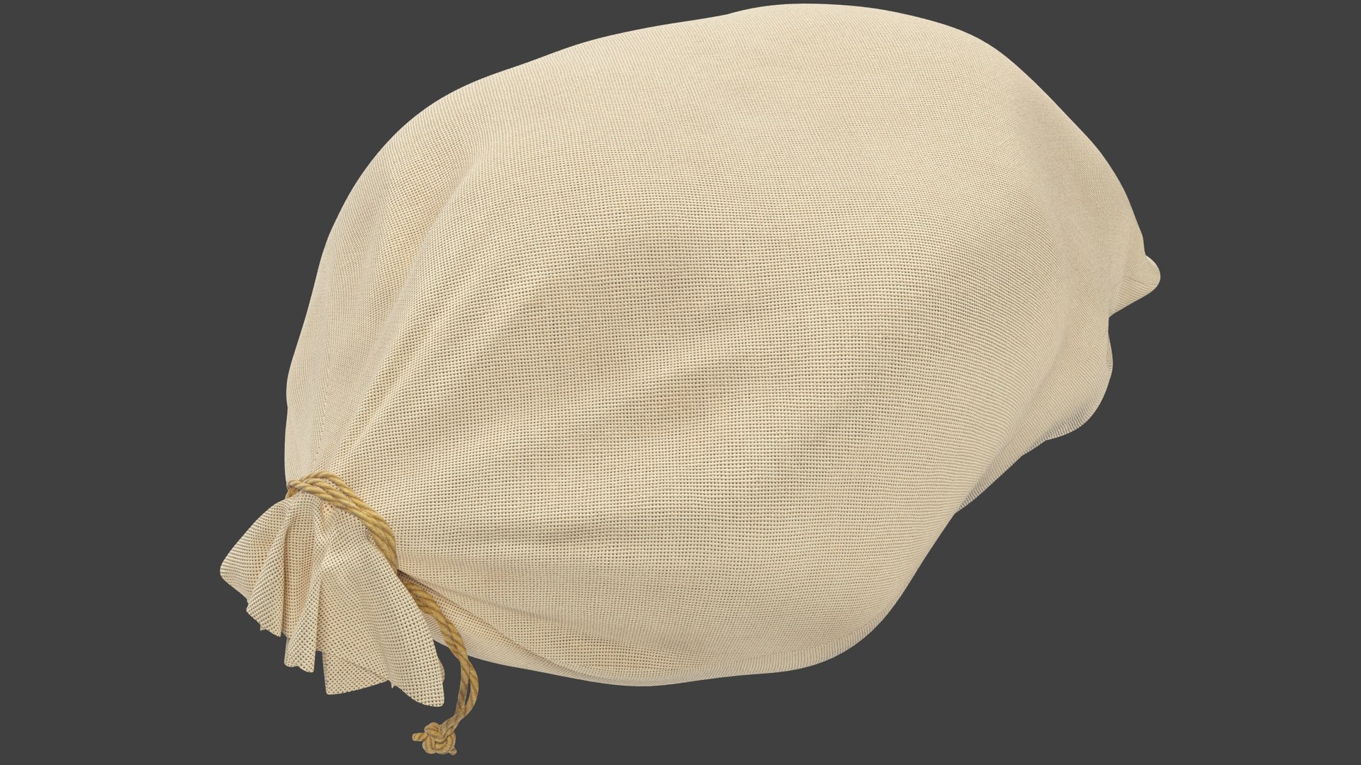 3D Money Bags Collection V41 https://p.turbosquid.com/ts-thumb/1F/4lGI3v/vi/s6_002/png/1700777461/1920x1080/fit_q87/8bf2b98b5d356704b60a4031743f0679ce566a81/s6_002.jpg