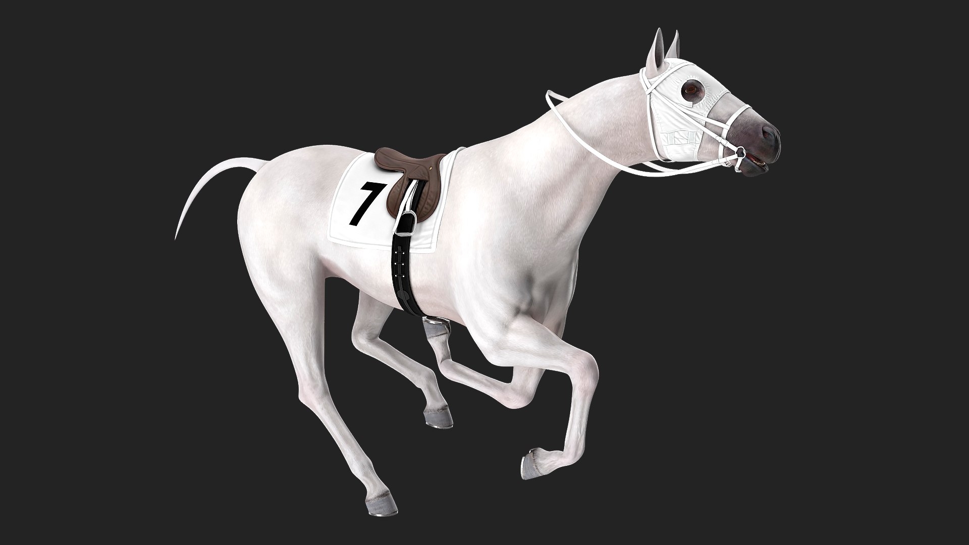 Racehorse White Rigged 3D model preview