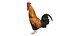 Chicken Farm Objets 11 in 1