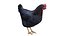 Chicken Farm Objets 11 in 1