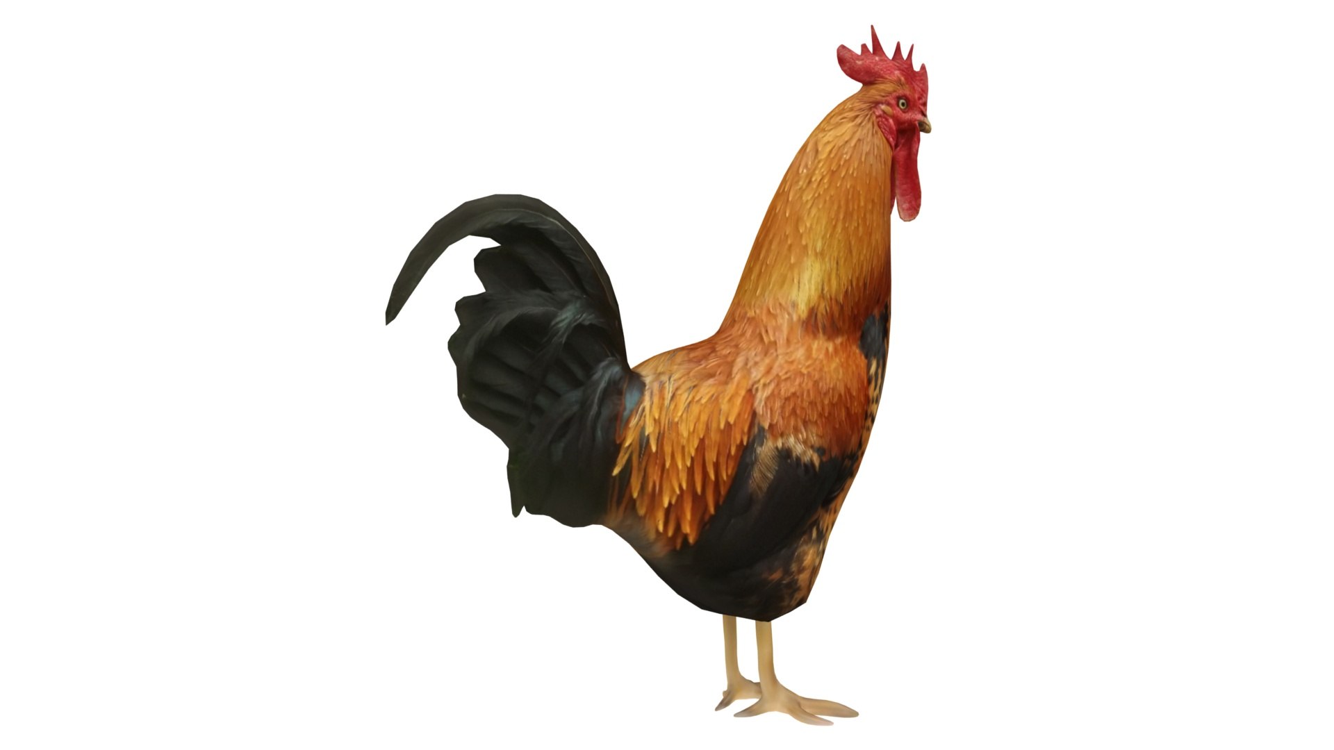 chicken farm objets 11 3D https://p.turbosquid.com/ts-thumb/1F/8S9ws2/97Tzubig/04/jpg/1607190125/1920x1080/fit_q87/6cbba4c15f49cb666f61443314312ac70df70277/04.jpg