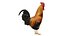 Chicken Farm Objets 11 in 1