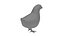 Chicken Farm Objets 11 in 1