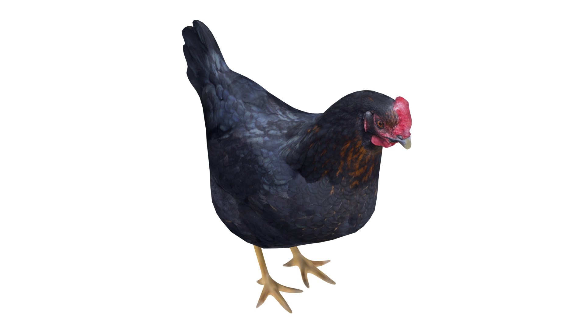 chicken farm objets 11 3D https://p.turbosquid.com/ts-thumb/1F/8S9ws2/EHCBoBxi/006/jpg/1607190145/1920x1080/fit_q87/6d9449e8c17ca5a417dd25bae55123019af4d34c/006.jpg