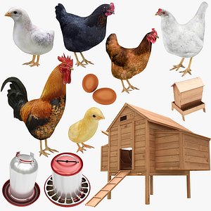 Chicken Farm Objets 11 in 1