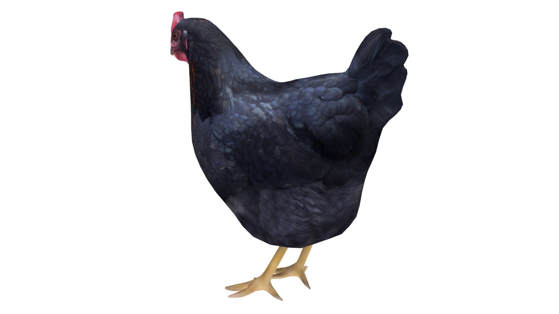 chicken farm objets 11 3D https://p.turbosquid.com/ts-thumb/1F/8S9ws2/HiHLXPIc/004/jpg/1607190145/1920x1080/fit_q87/24a1a3478cbda1eba5e88ecc0758893a6d07df81/004.jpg