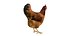 Chicken Farm Objets 11 in 1