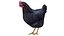 Chicken Farm Objets 11 in 1