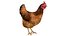 Chicken Farm Objets 11 in 1