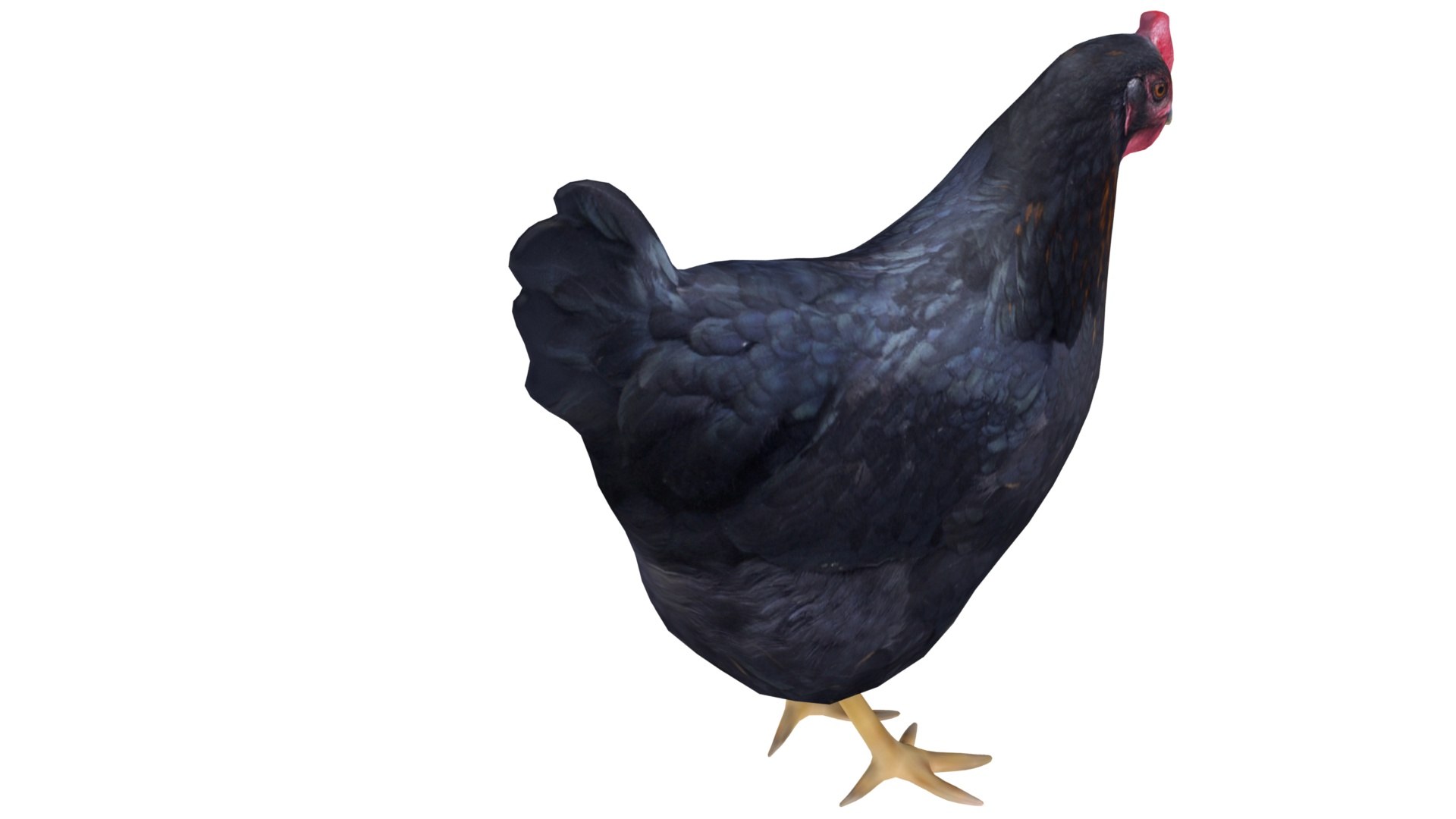 chicken farm objets 11 3D https://p.turbosquid.com/ts-thumb/1F/8S9ws2/lqpNAGPx/005/jpg/1607190145/1920x1080/fit_q87/e1d2fc17a99dba1f6f310daa8c444d8693f13511/005.jpg