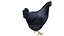 Chicken Farm Objets 11 in 1