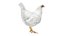 Chicken Farm Objets 11 in 1