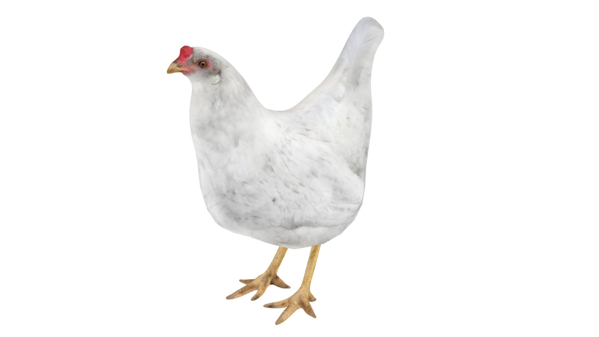 chicken farm objets 11 3D https://p.turbosquid.com/ts-thumb/1F/8S9ws2/t56qI7BF/003/jpg/1607190151/1920x1080/fit_q87/2ca8eebd5146eba0c5c99cf8f5ee76c28a8b4c62/003.jpg