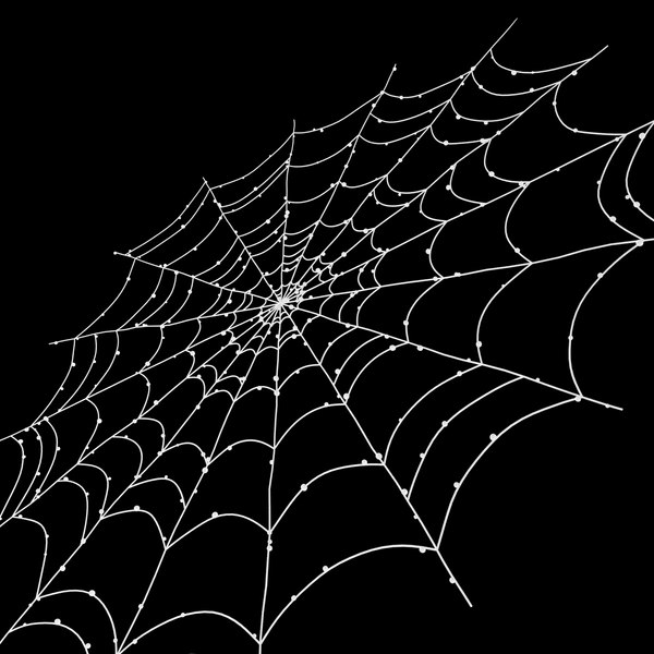 3d Spiderweb 02