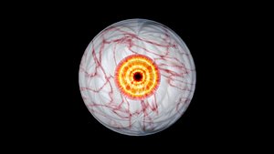 eyeballs rigging 3D model