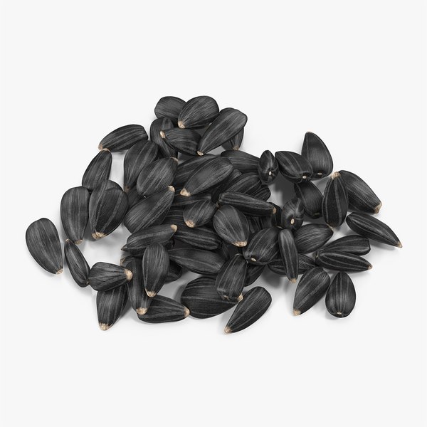 black sunflower seeds pile model