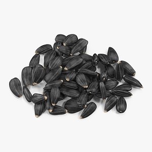 Black Sunflower Seeds Pile
