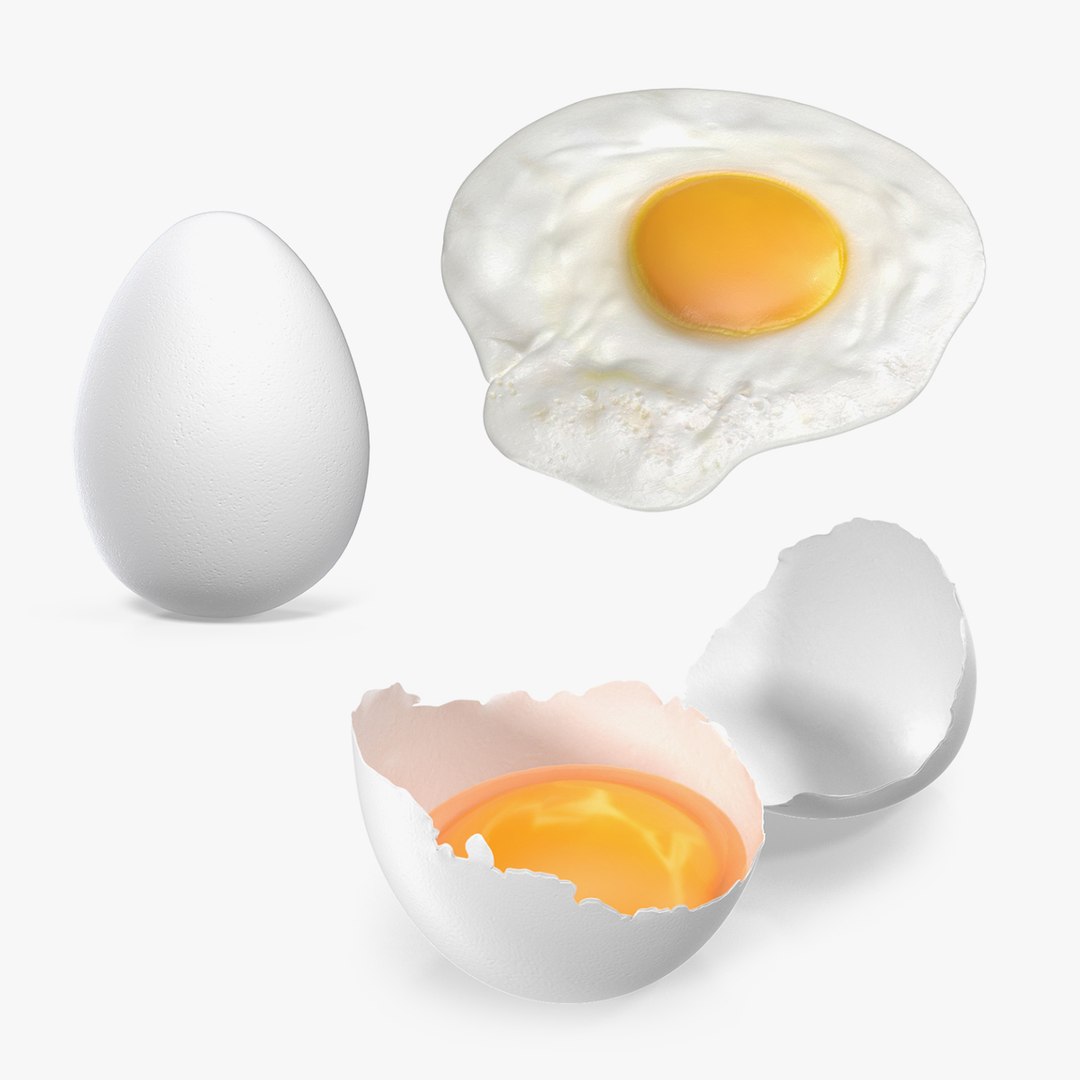 White Egg 3D Models Collection 3D model preview
