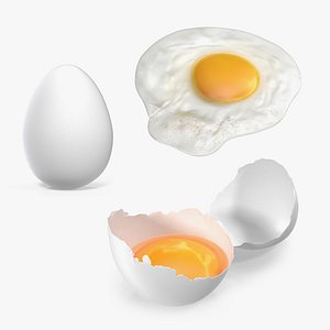 White Egg 3D Models Collection