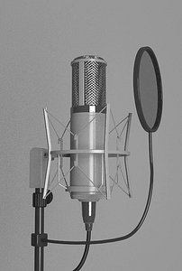 studio microphone max