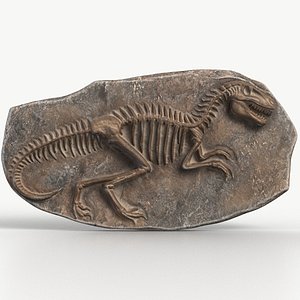 3D Dinosaur Fossil Textured 001