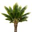 3D model street elements palm tree