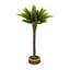 3D model street elements palm tree