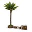 3D model street elements palm tree