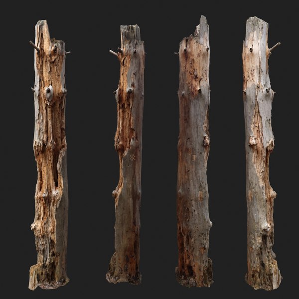 dead tree scan 3D