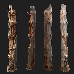 Dead tree 3d scan -SNA0002