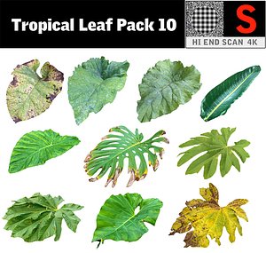 3D tropical leaf pack 10