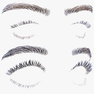 Boy and Girl Eyebrows with Eyelashes 3D model